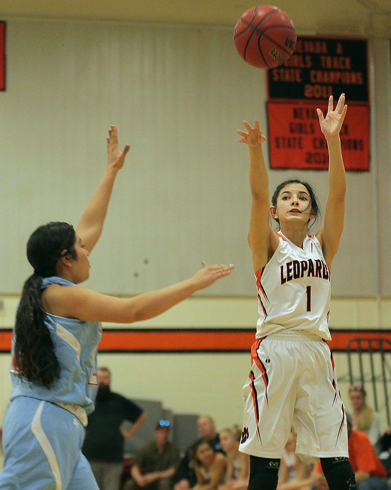 Owyhee at Wells Girls Basketball (14).jpg